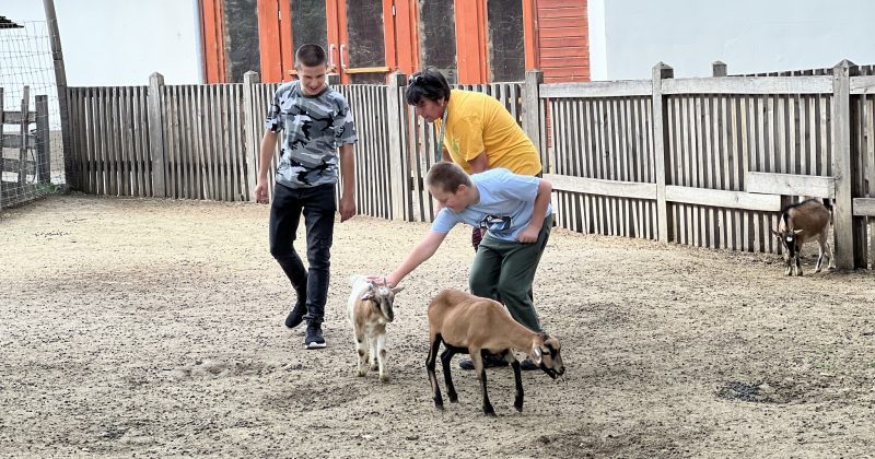 Sérült Gyermekek Napja az Állatkertben